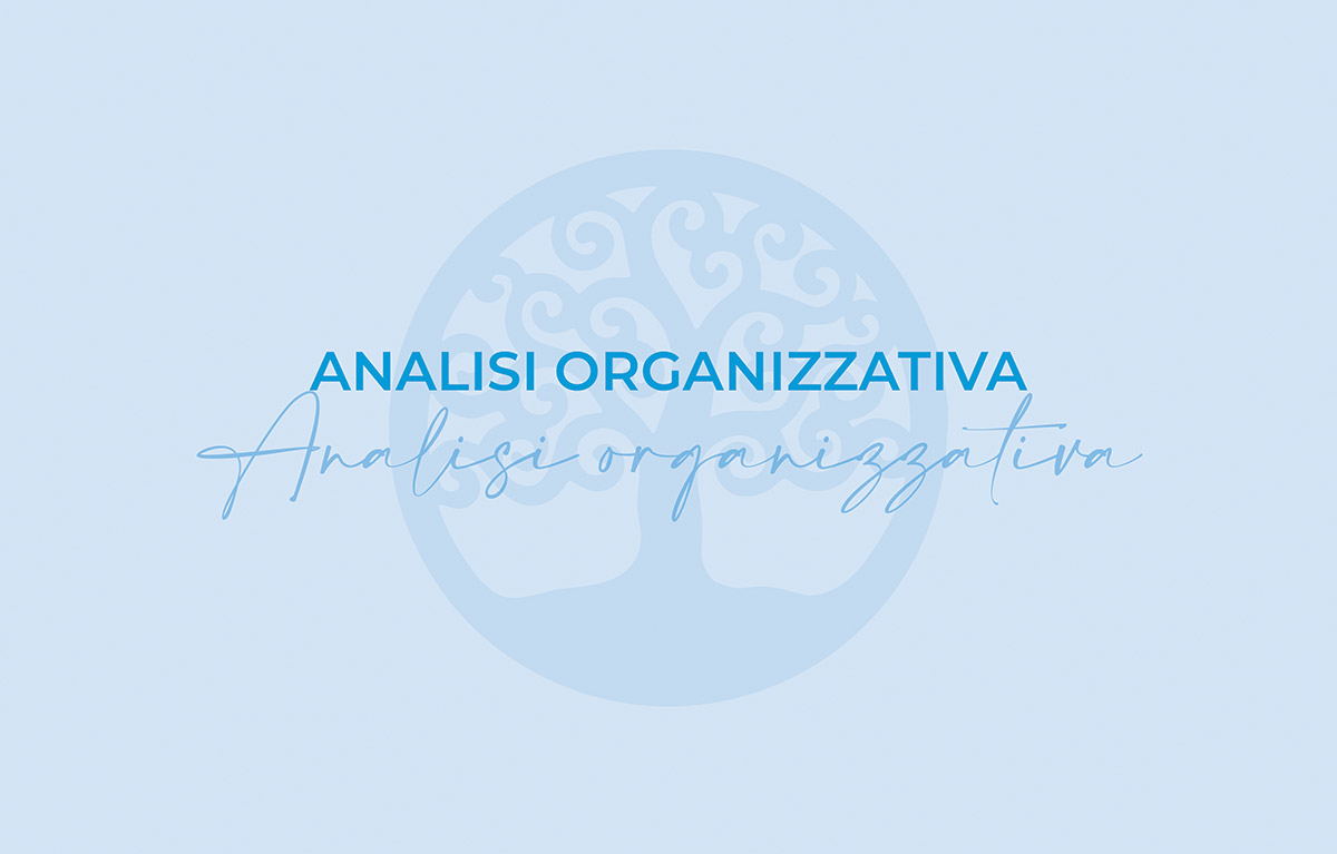 Analisi Organizzativa - Consulenza Organizzativa