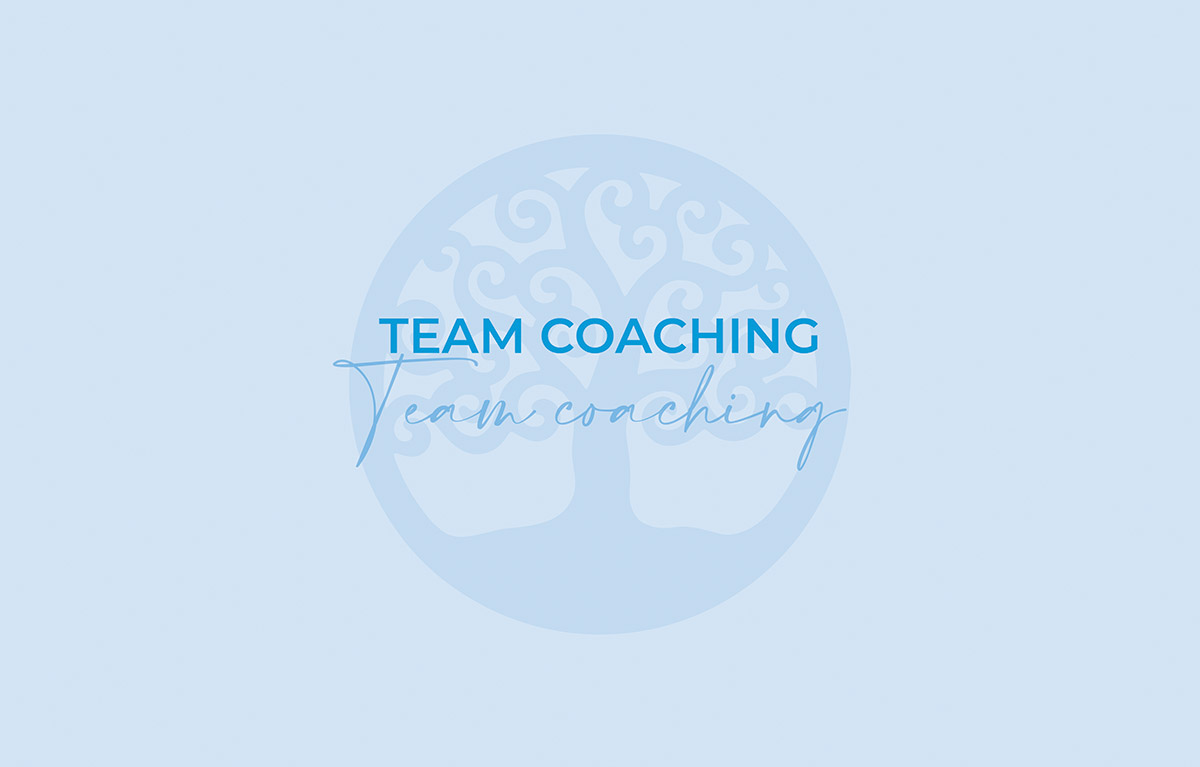 servizio di team coaching